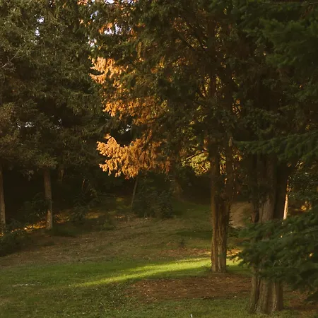 Rich Collective Apartman