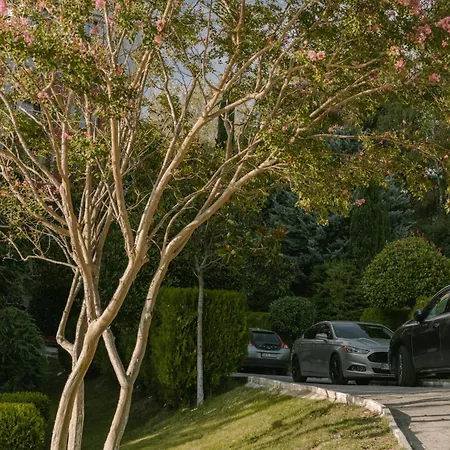 Apartament Rich Collective Nesebyr