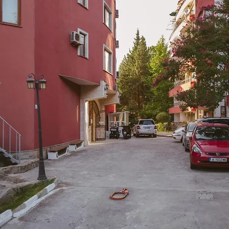 Rich Collective ネセバル