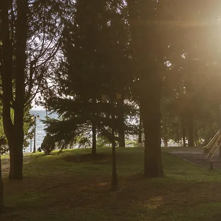 Rich Collective Apartamento *