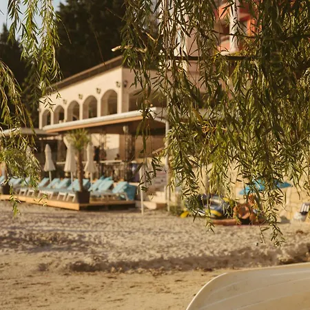 Rich Collective ネセバル