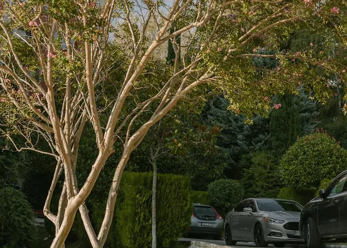 Lejlighed Rich Collective Nessebar