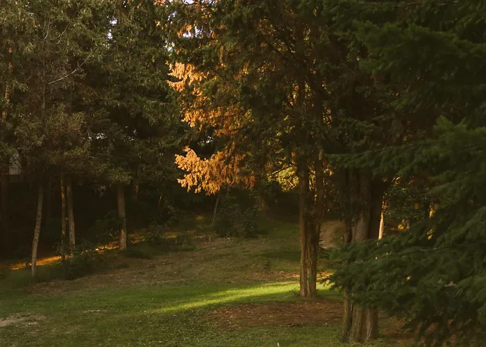 Rich Collective Lejlighed