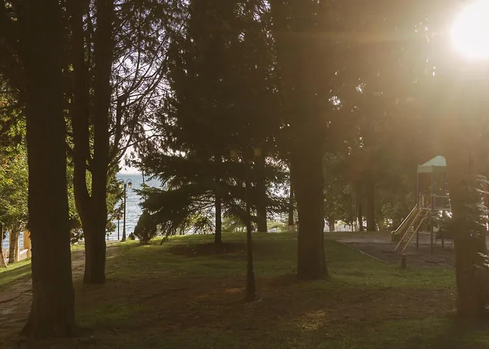 Rich Collective Lejlighed *